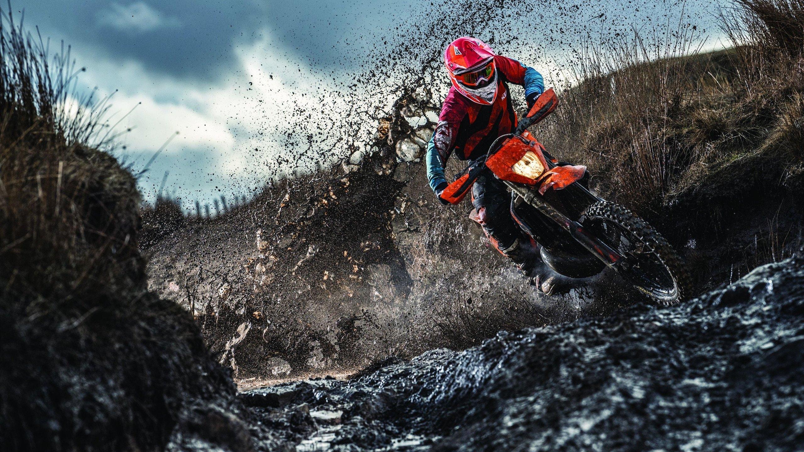 阿尔卡拉斯逆转夺冠 温网见证新王登基